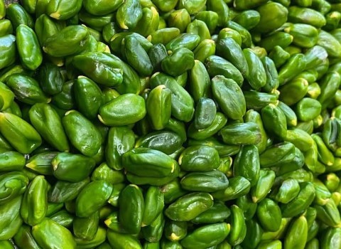 قیمت مغز پسته کال صادراتی + خرید باور نکردنی