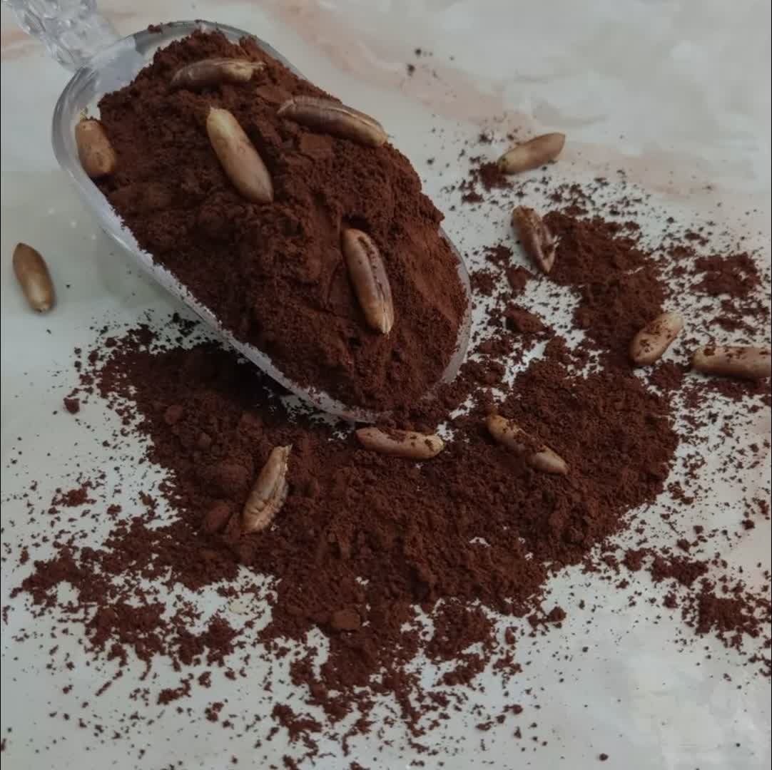 فروشندگان معتبر پودر قهوه خرما در بازار اینترنتی