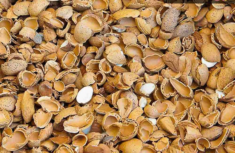 پوست بادام قیمت