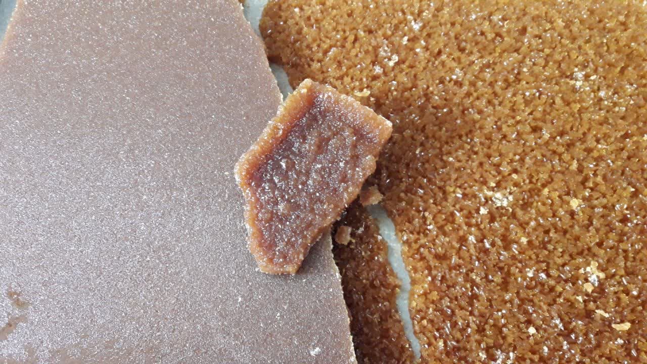 نبات دو آتیشه زنجبیلی
