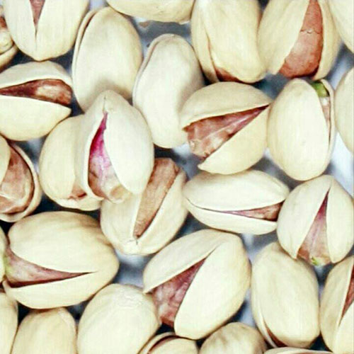 فروش پسته رقم اوحدی + قیمت خرید به صرفه