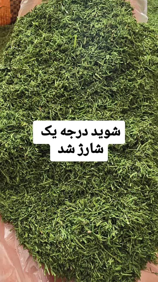 قیمت شوید خشک عمده فارس