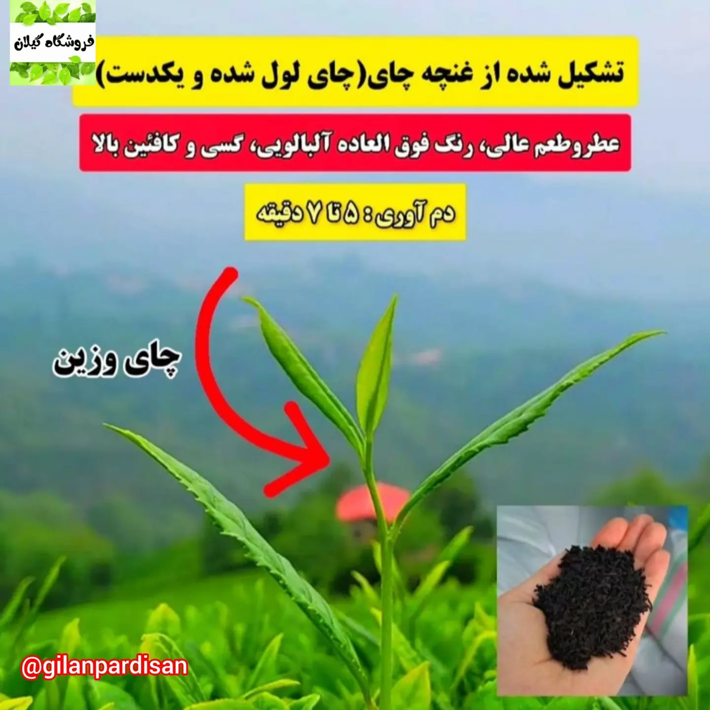 قیمت عمده چای وزین فله