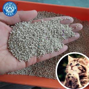 بنتونیت بستر گربه