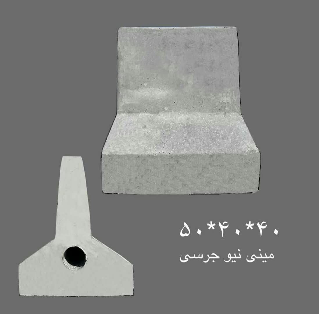 مینی نیوجرسی مشهد