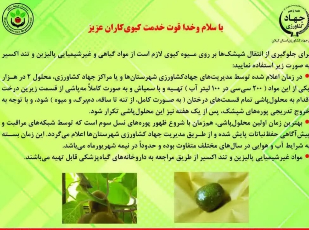 حشره کش و شپشک کش های ارگانیک