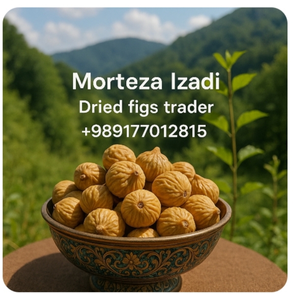 خرید انجیر خشک سایز A صادراتی عمده با بهترین قیمت