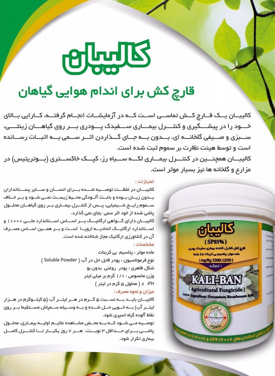 خرید قارچ کش ارگانیک برای بیماری سفیدک سطحی