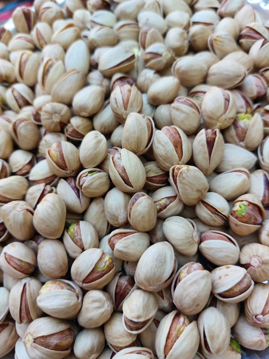 قیمت خرید پسته فندقی صادراتی عمده به صرفه و ارزان
