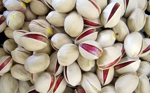 قیمت خرید پسته احمد آقایی خام + فروش ویژه