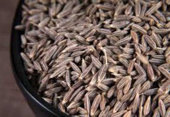 زیره سیاه ارگانیک پاک‌شده + قیمت روز بسته ۳۰۰ گرمی