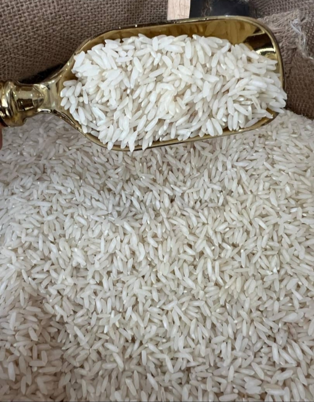 برنج ممتاز ایرانی