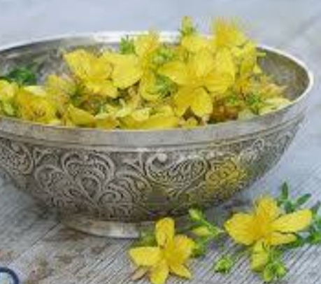 گل راعی یا هوفاریقون