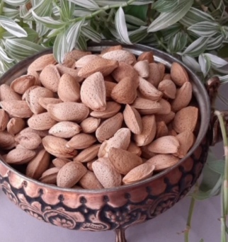 قیمت بادام درختی سنگی با پوست + فروش عمده