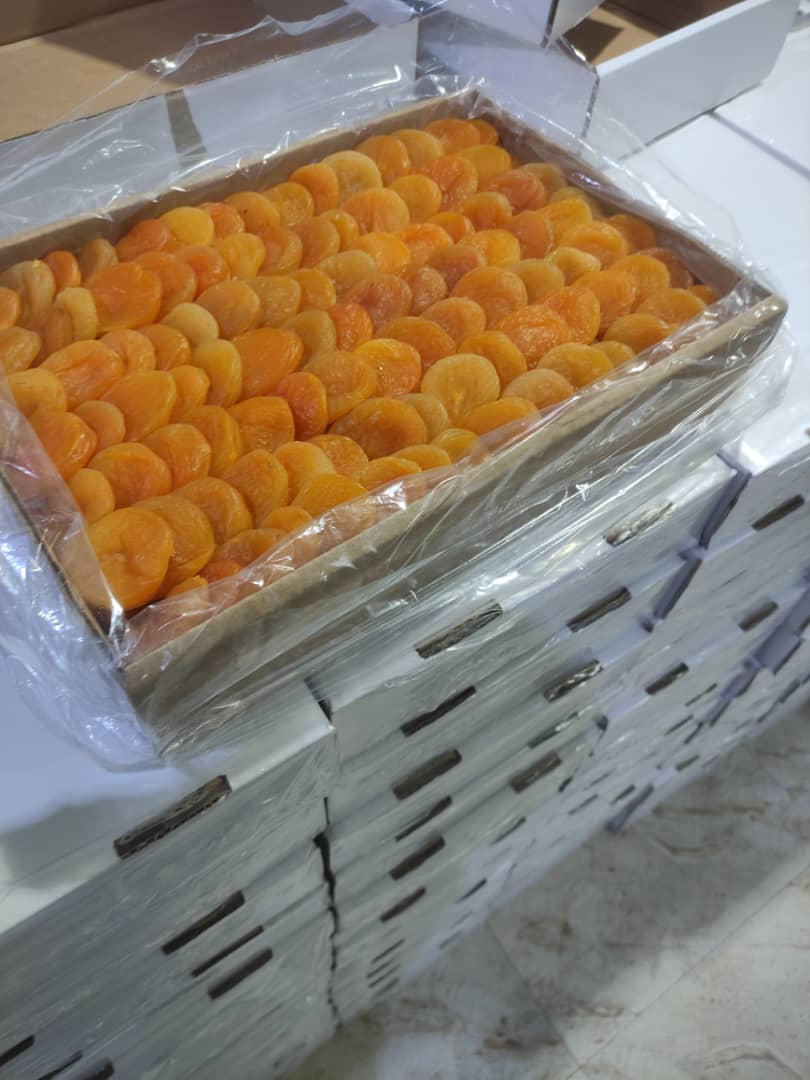 قیسی تیزابی آذرشهر