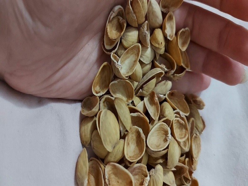 قیمت پوست پسته در ایران