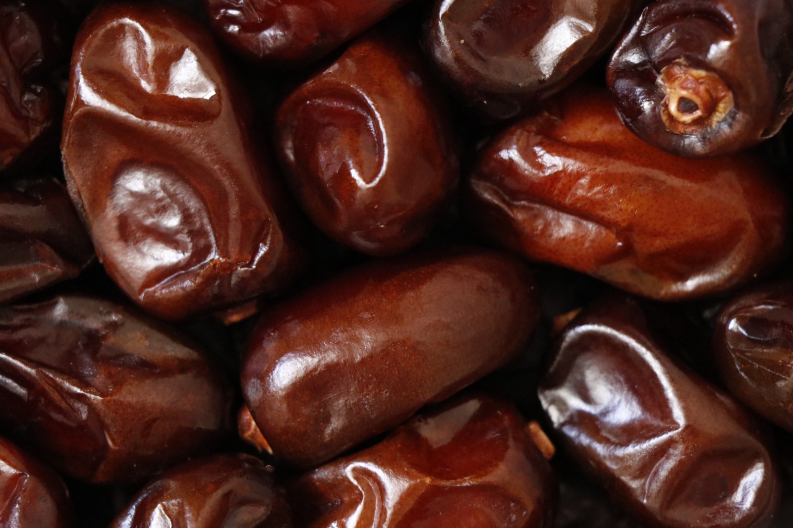 خرما کلوته روغن زده صادراتی + قیمت به صرفه