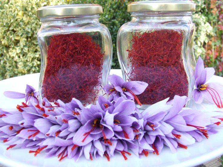 فروش ویژه زعفران یک مثقالی