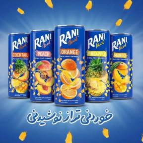 تصویر 2 از آب انبه غلیظ پاکتی برای اسموتی