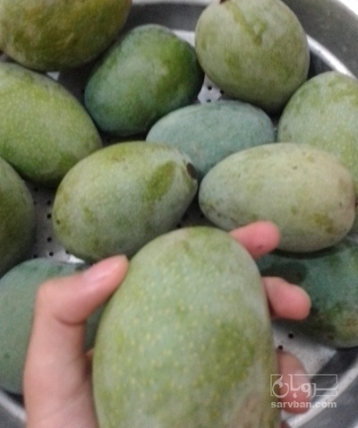 قیمت انبه خشک چونسه درجه یک