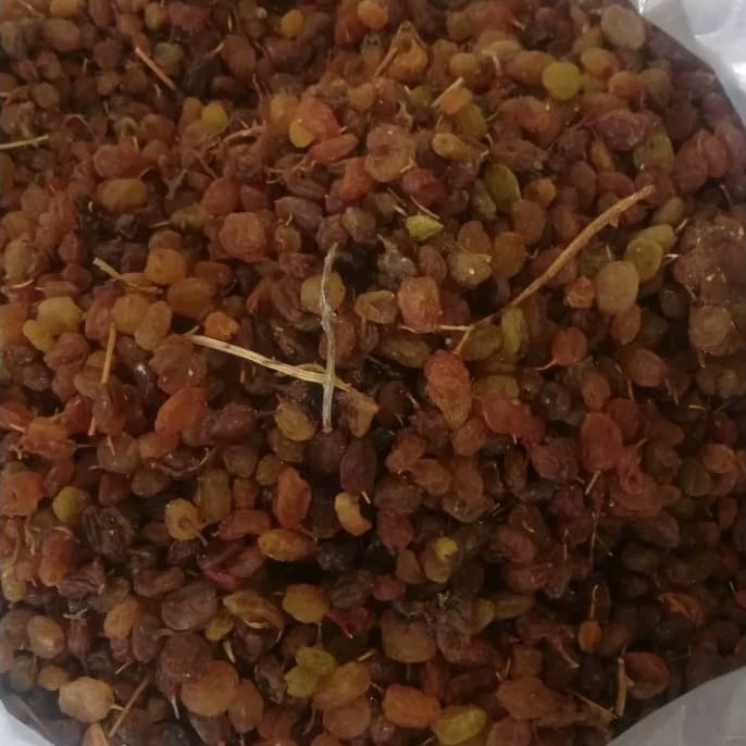 فروش عمده کشمش آبگیری مرغوب