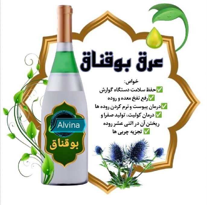 عرق بوقناق برای چی خوبه؟ خواص شگفت‌انگیز + قیمت عمده