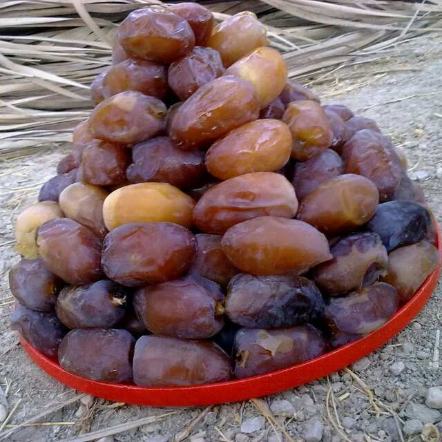 قیمت خرما عسلی عمده