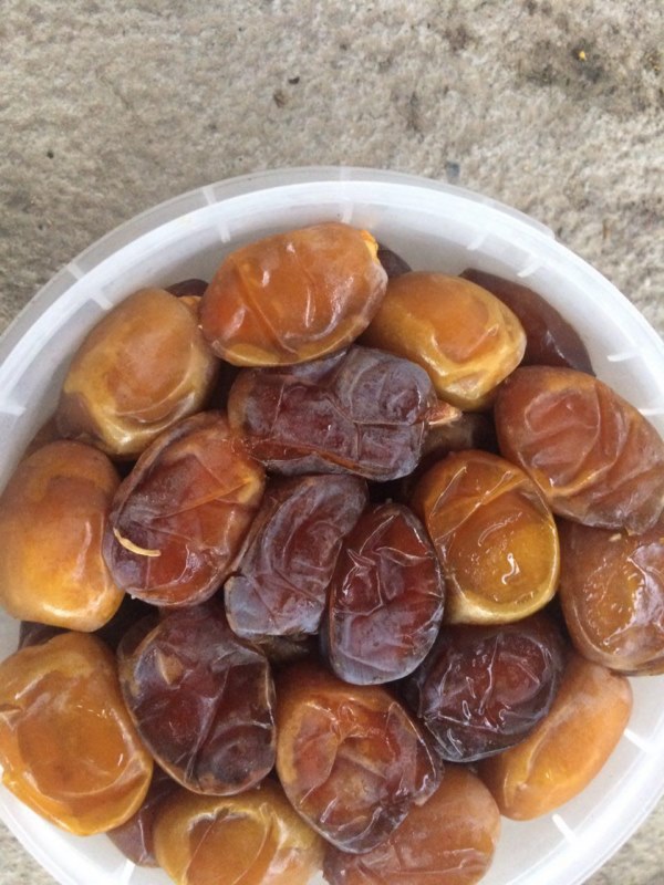 قیمت و خرید خرما عسلی عمده