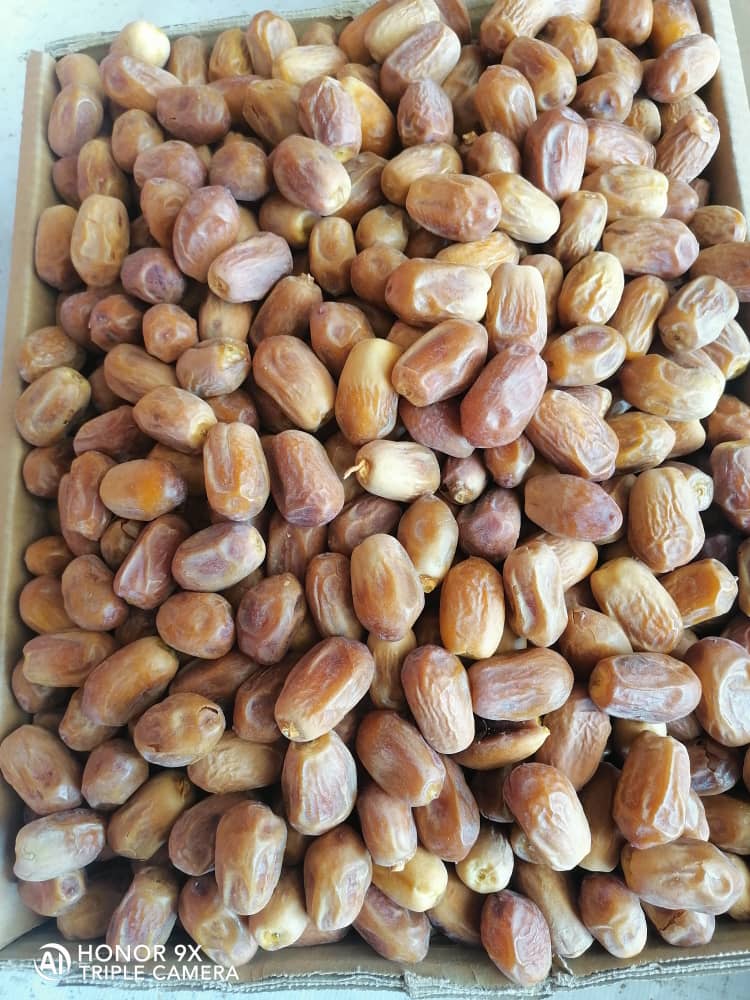 خرما زاهدی درجه یک