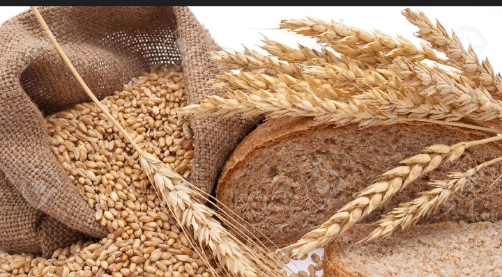 فروش گندم پوست کنده + قیمت مناسب و به صرفه