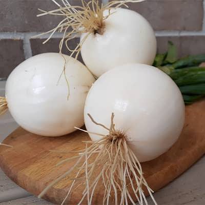 پیاز سفید مرغوب