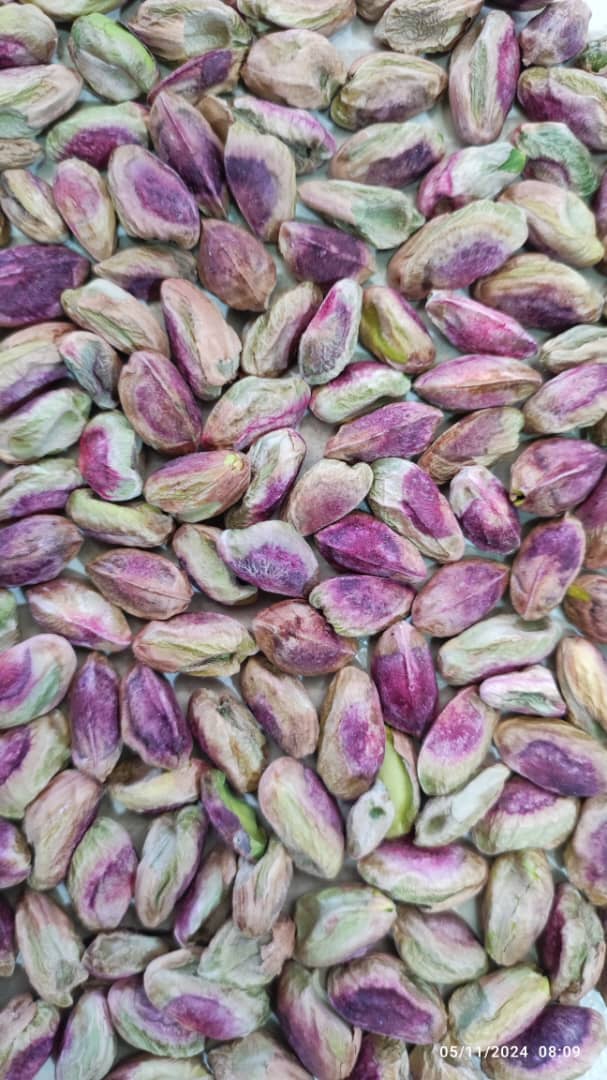 خرید پسته اکبری صادراتی
