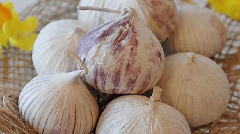 موسیر ممتاز همدان