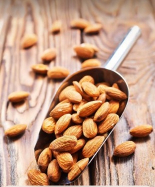 قیمت بادام مامایی شهرکرد + فروش ویژه