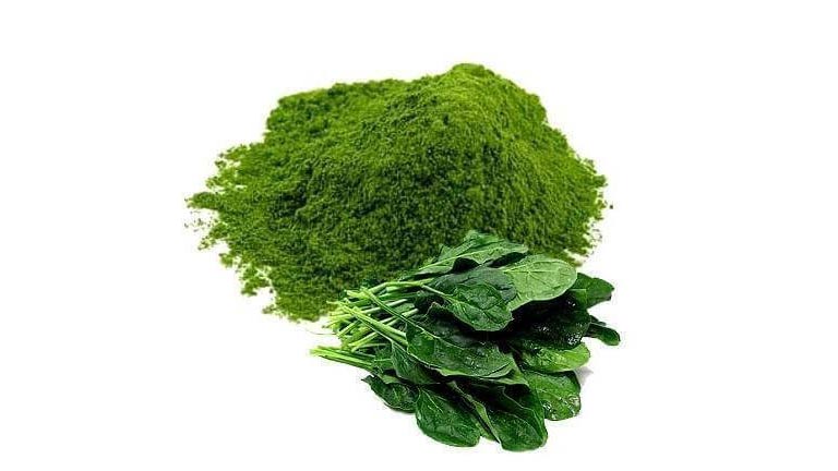 فروش اسفناج خشک صادراتی فارس