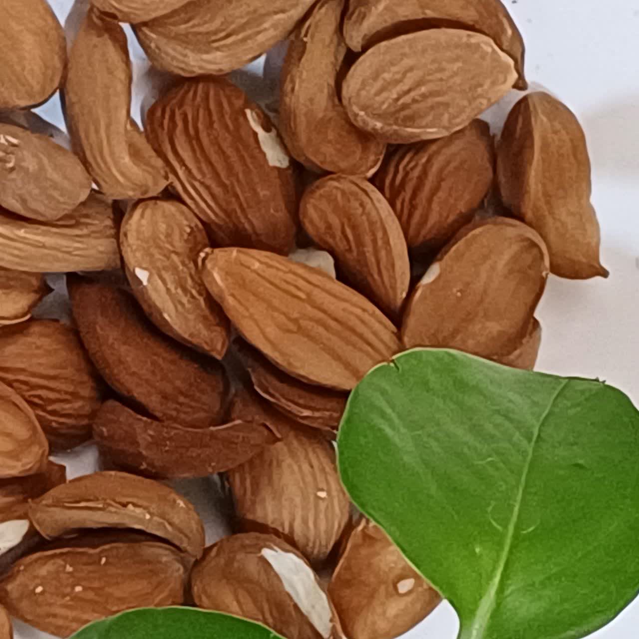 قیمت و فروش مغز بادام درختی صادراتی + شرایط خرید عمده