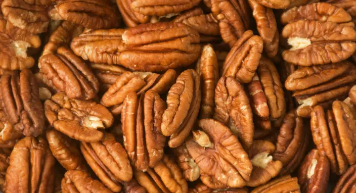 فروش نهال گردو پکان