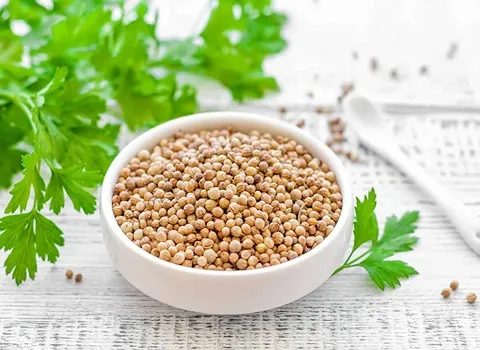 خرید بدونه واسطه بذر گشنیز خوشبو