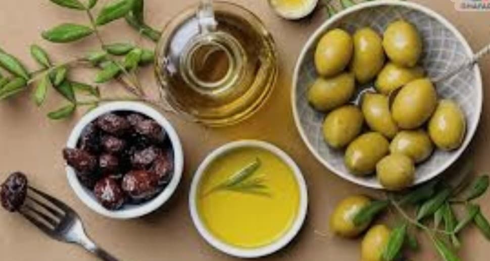 زیتون مرغوب و روغن زیتون