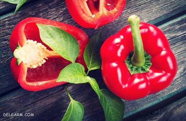 خرید و فروش فلفل دلمه ای قرمز