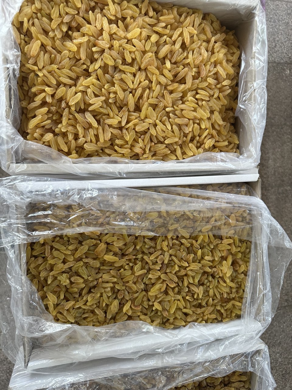 خرید کشمش سبز قلمی درجه یک کاشمر
