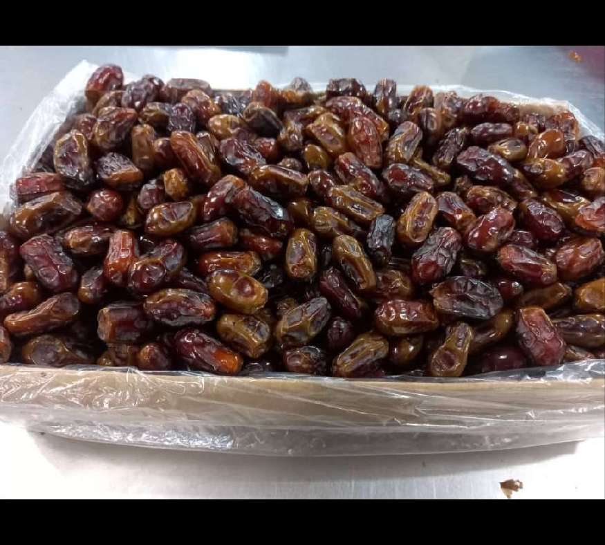 خرما استعمران صادراتی