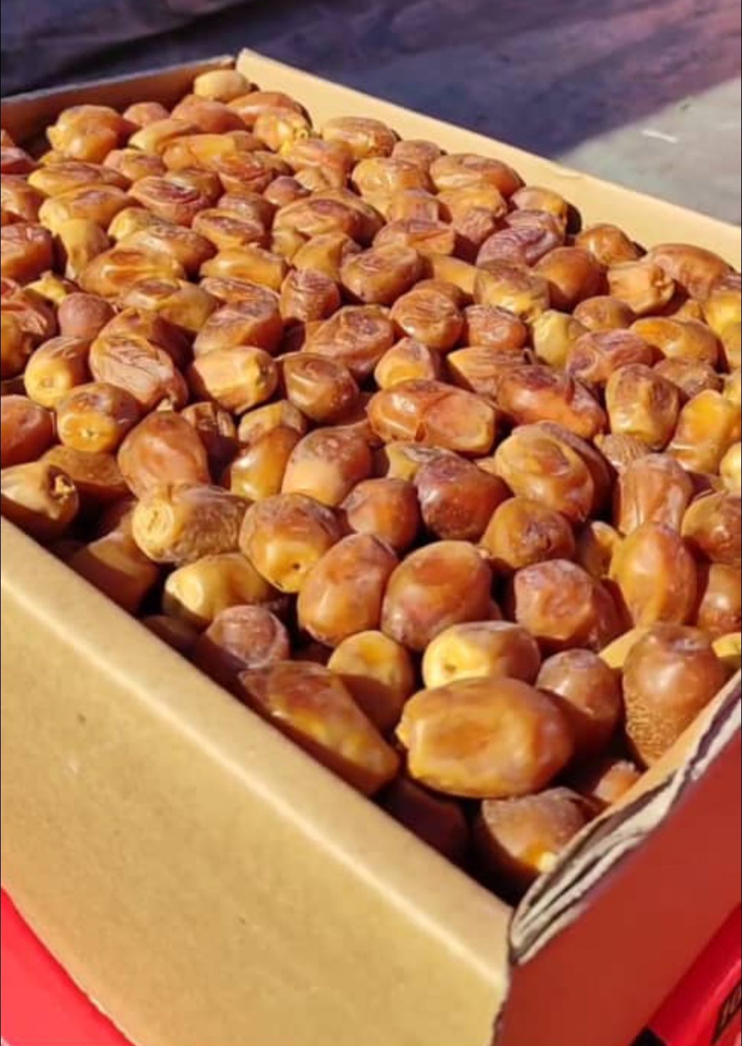 قیمت خرمای زاهدی