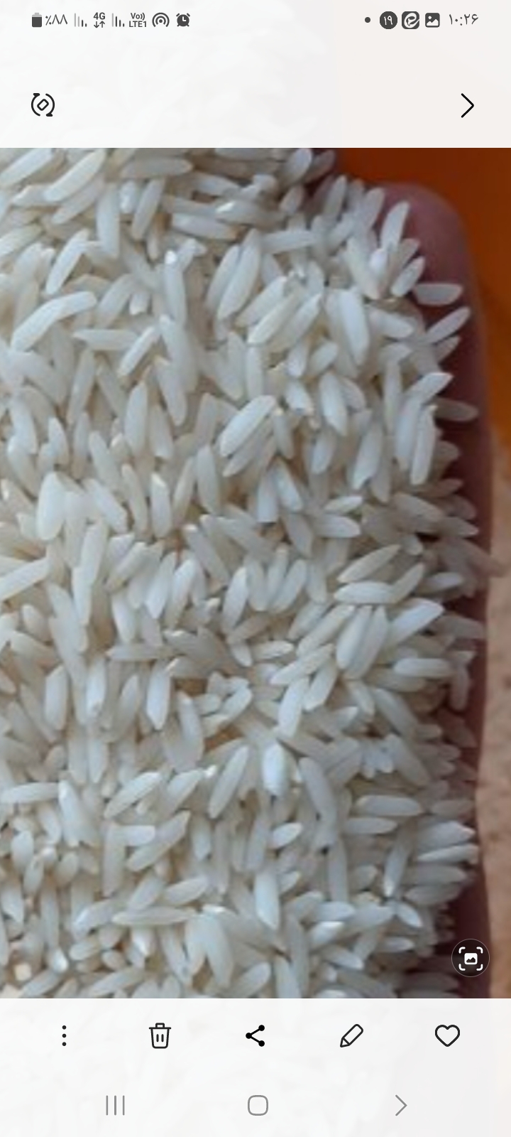 برنج طارم هاشمی