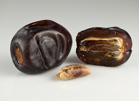 فروش عمده + خرما مضافتی فله
