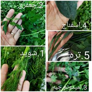 قیمت خرید سبزی کوکو خشک عمده کازرون