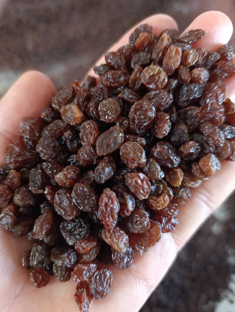 فروش کشمش رسمی و ارگانیک تاکستان