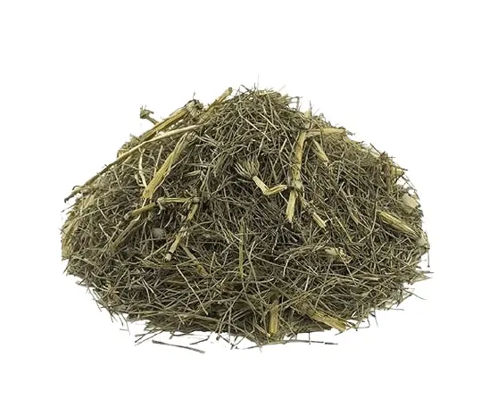 خرید عمده گیاه دم اسبی خشک شده با قیمت مناسب + فواید درمانی