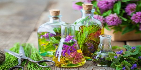 عرق کاسنی + قیمت استثنایی