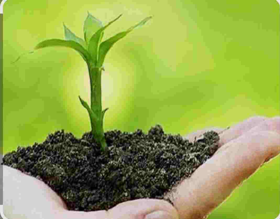 قیمت کود تقویتی ارگانیک